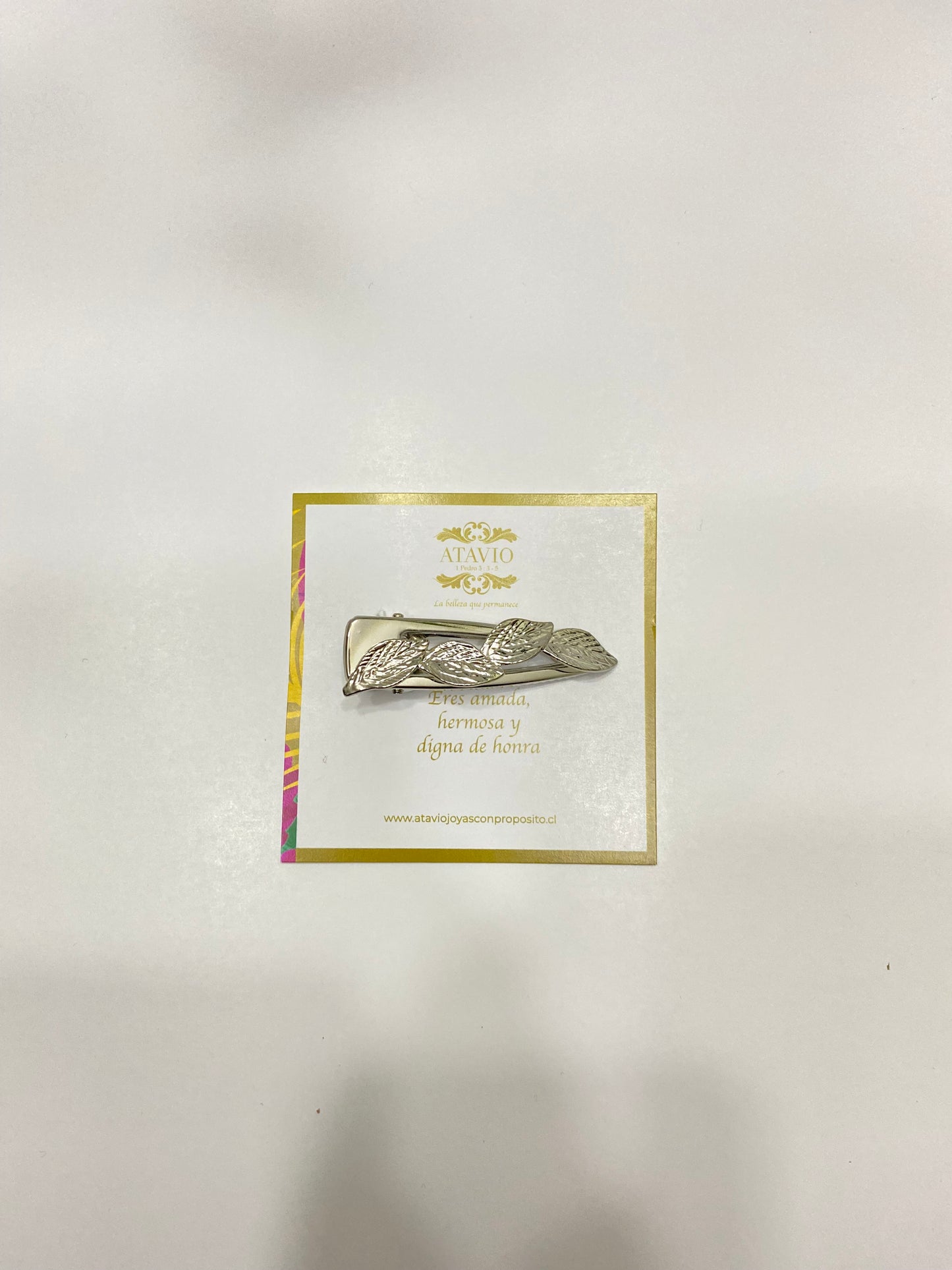 Box Edén 2025 • Verde Lanzamiento de Colección Pañuelos de Seda
