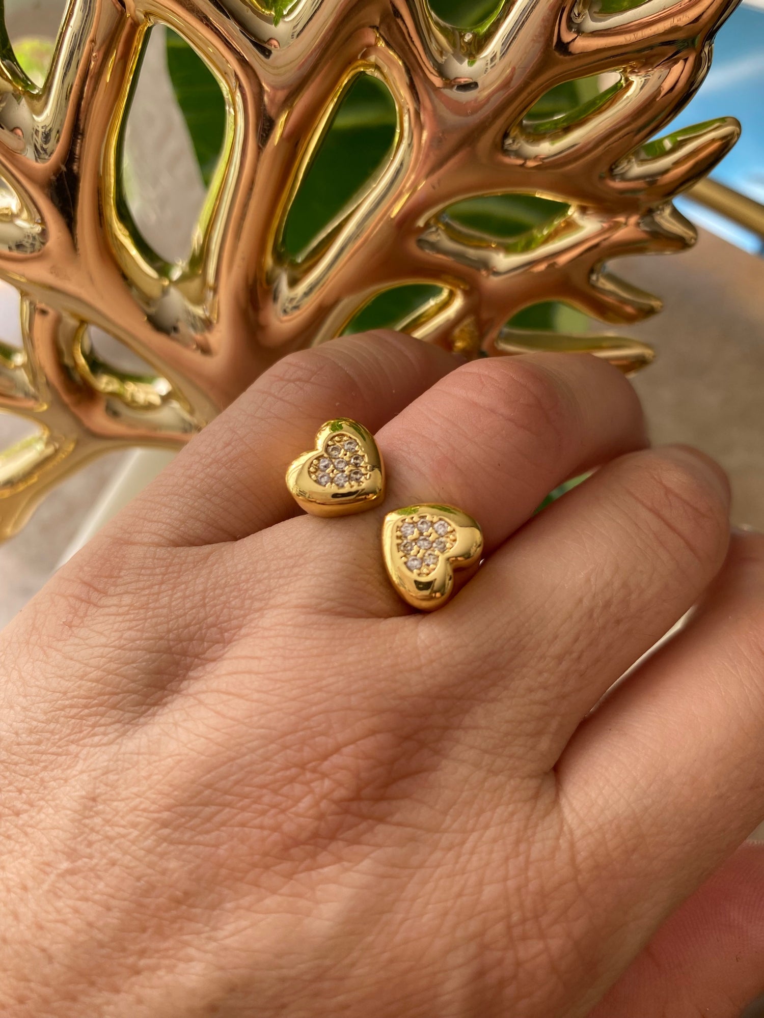 Anillos