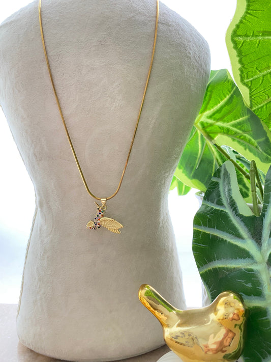 Collar Colibrí Microcircines Color