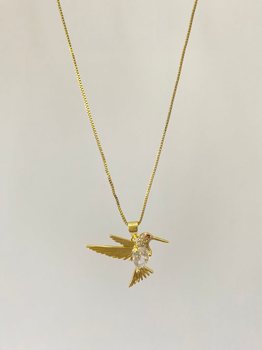Collar colibrí circón y Cadena baño oro
